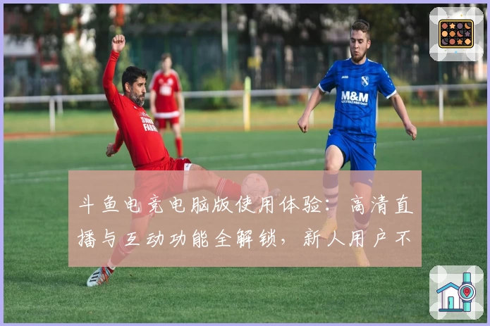 斗鱼电竞电脑版使用体验：高清直播与互动功能全解锁，新人用户不容错过