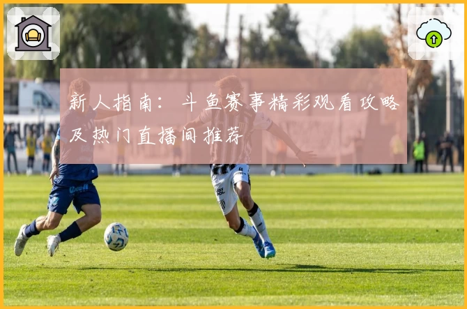 新人指南：斗鱼赛事精彩观看攻略及热门直播间推荐