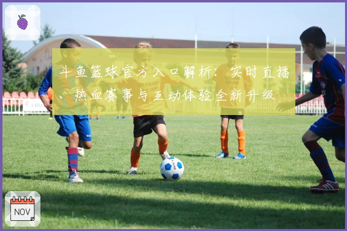 斗鱼篮球官方入口解析：实时直播、热血赛事与互动体验全新升级