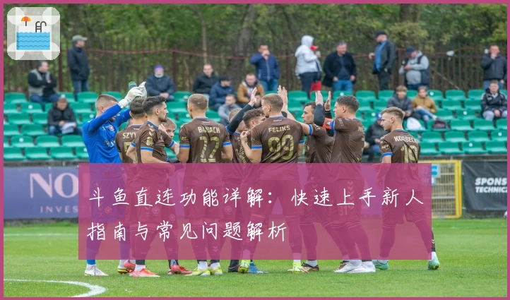 斗鱼直连功能详解：快速上手新人指南与常见问题解析