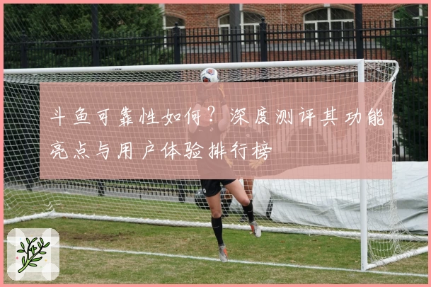 斗鱼可靠性如何？深度测评其功能亮点与用户体验排行榜