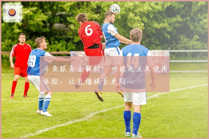 斗鱼服务全解析：功能亮点及使用体验，让直播娱乐更贴心