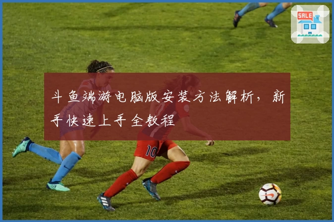 斗鱼端游电脑版安装方法解析，新手快速上手全教程