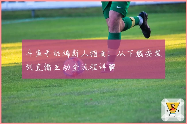 斗鱼手机端新人指南：从下载安装到直播互动全流程详解