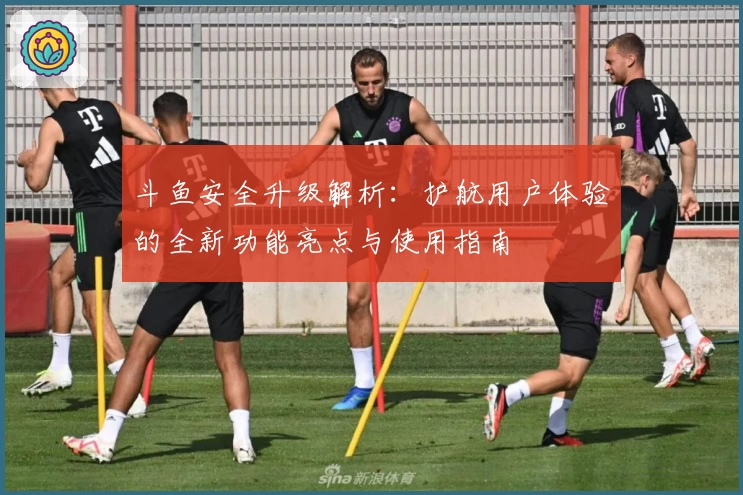 斗鱼安全升级解析：护航用户体验的全新功能亮点与使用指南