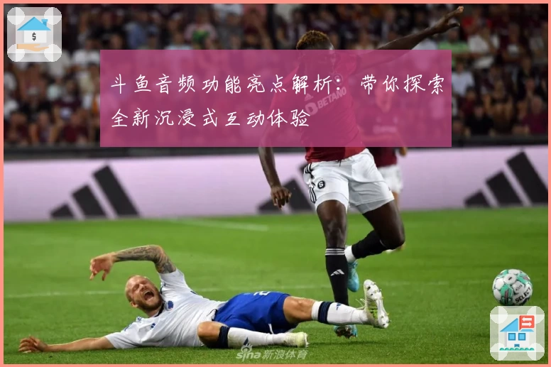 斗鱼音频功能亮点解析：带你探索全新沉浸式互动体验