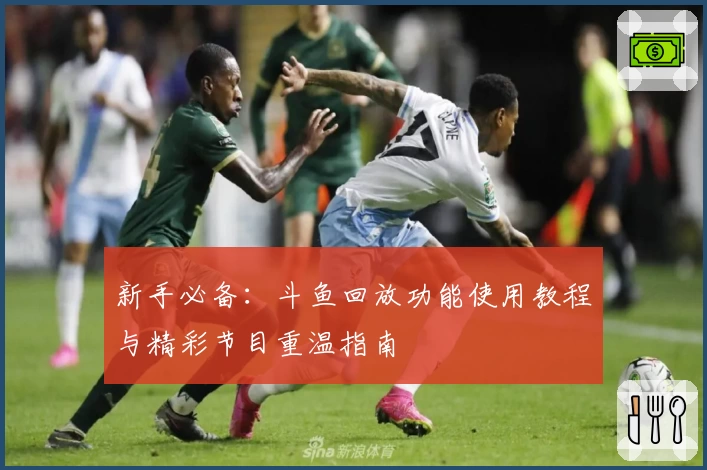 新手必备：斗鱼回放功能使用教程与精彩节目重温指南